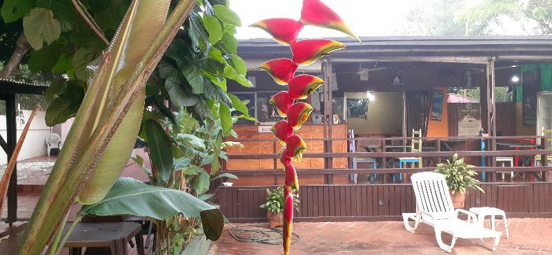 Residencial Noelia Hostel Puerto Iguazú Eksteriør bilde